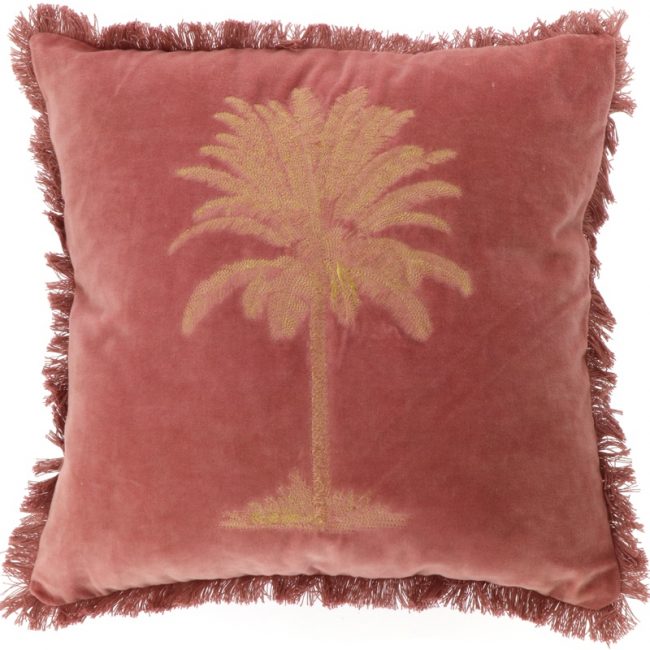 Kissen Palm Rot