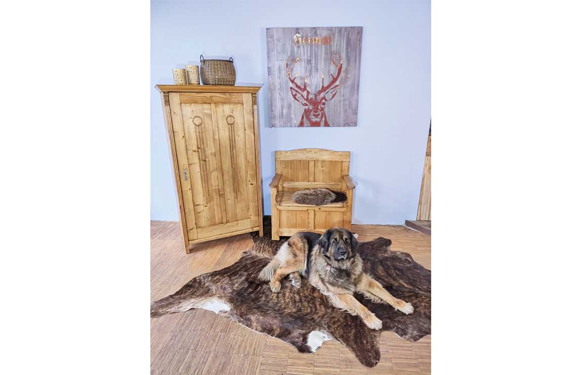 Holzbank und Schrank mit Queenie